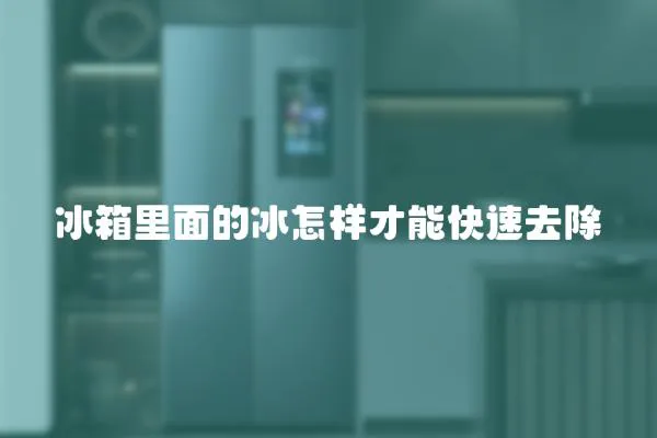 冰箱里面的冰怎樣才能快速去除