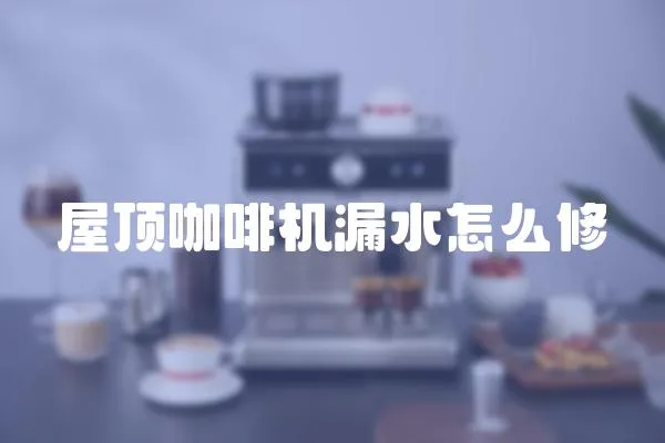 屋顶咖啡机漏水怎么修