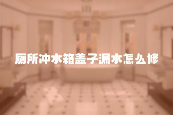 廁所沖水箱蓋子漏水怎么修