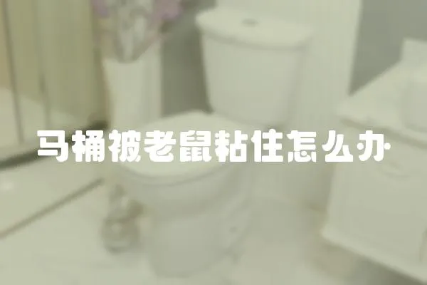 馬桶被老鼠粘住怎么辦