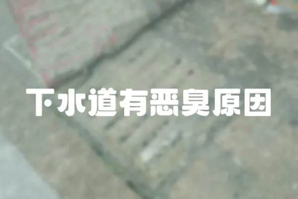 下水道有惡臭原因