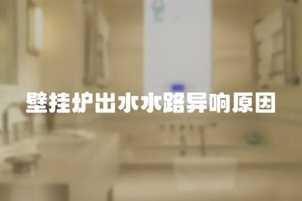 壁掛爐出水水路異響原因
