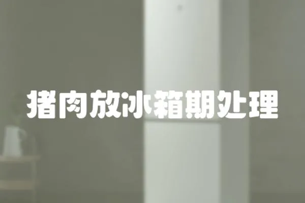 豬肉放冰箱期處理