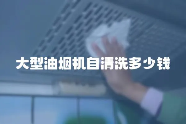 大型油煙機自清洗多少錢