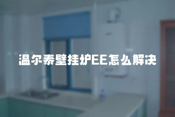 溫爾泰壁掛爐EE怎么解決