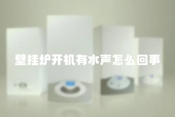 壁掛爐開機有水聲怎么回事