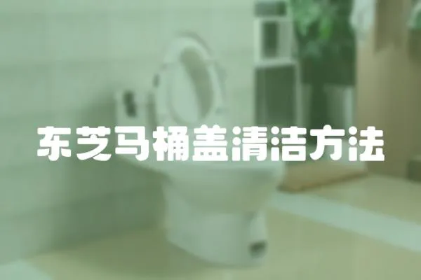 東芝馬桶蓋清潔方法