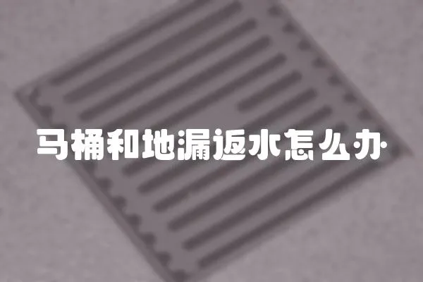 馬桶和地漏返水怎么辦