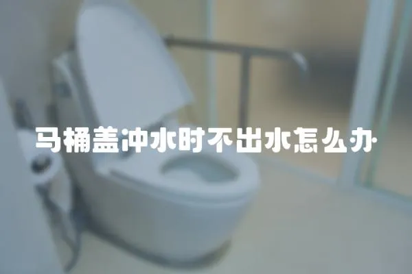 馬桶蓋沖水時(shí)不出水怎么辦