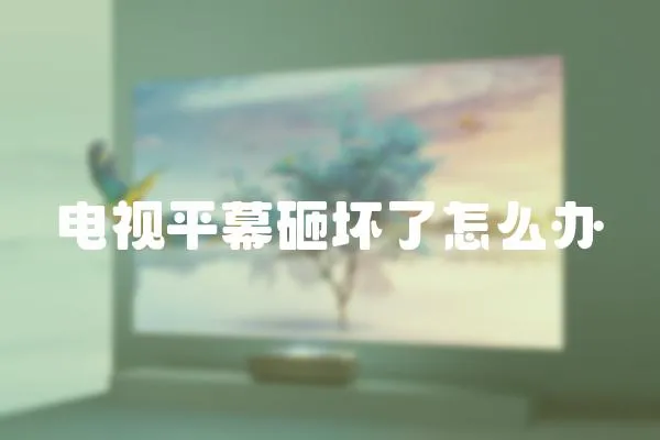 電視平幕砸壞了怎么辦