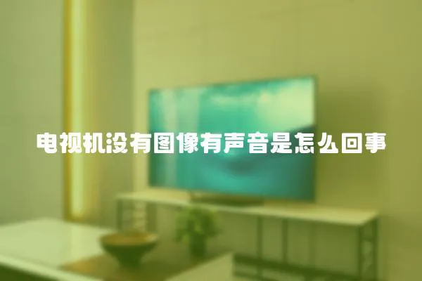 电视机没有图像有声音是怎么回事