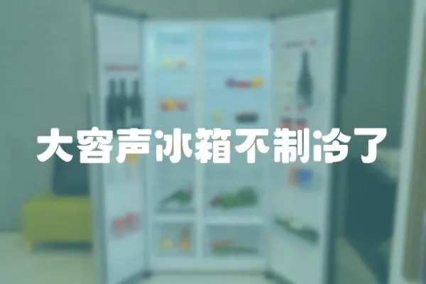 大容聲冰箱不制冷了