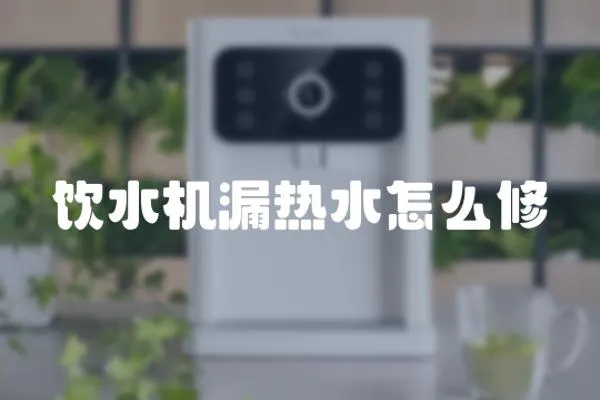 飲水機漏熱水怎么修