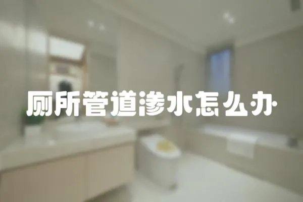 廁所管道滲水怎么辦