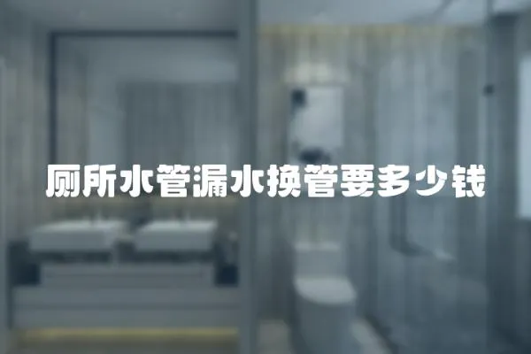 廁所水管漏水換管要多少錢