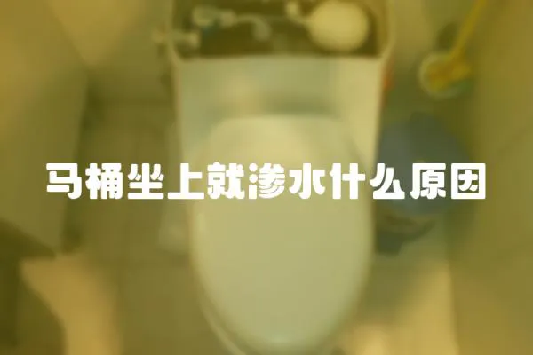 馬桶坐上就滲水什么原因