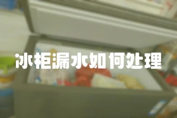 冰柜漏水如何處理