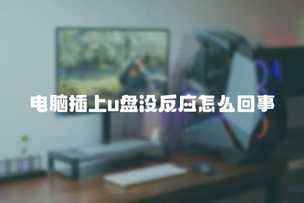 電腦插上u盤沒反應怎么回事