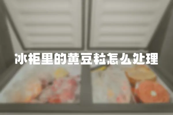 冰柜里的黃豆粒怎么處理