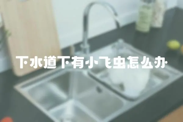 下水道下有小飛蟲怎么辦