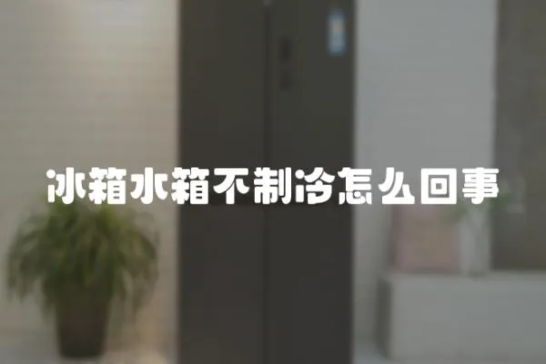 冰箱水箱不制冷怎么回事
