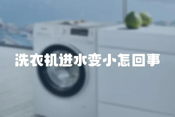 洗衣機(jī)進(jìn)水變小怎回事