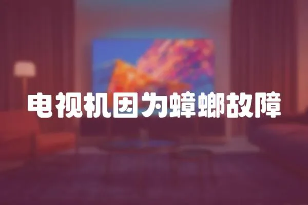 電視機(jī)因?yàn)轶牍收?></a></div>
                    <div   id=