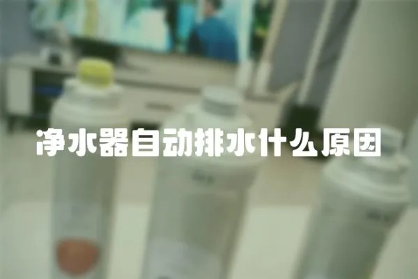 凈水器自動(dòng)排水什么原因
