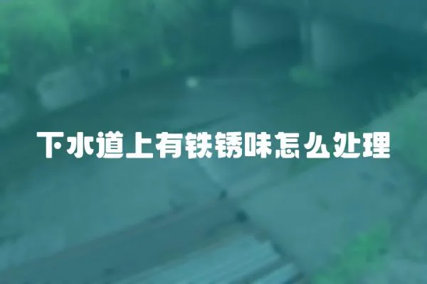 下水道上有鐵銹味怎么處理