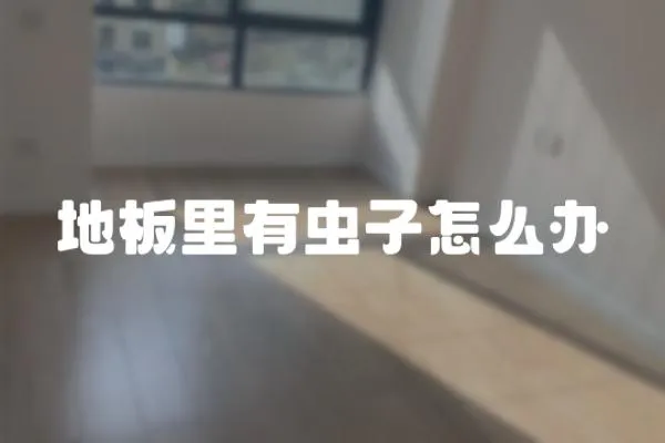 地板里有蟲子怎么辦