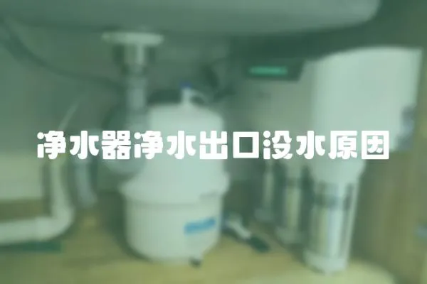 凈水器凈水出口沒水原因