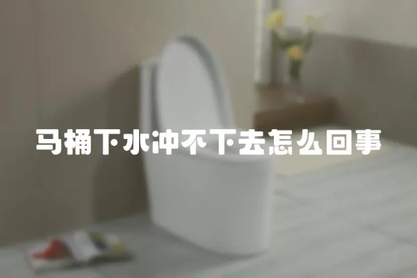 馬桶下水沖不下去怎么回事