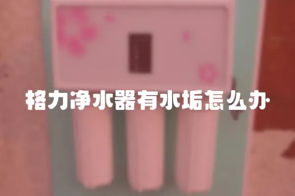 格力凈水器有水垢怎么辦