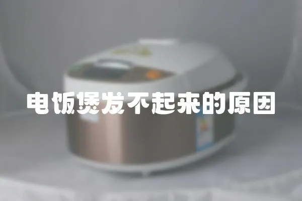 電飯煲發不起來的原因