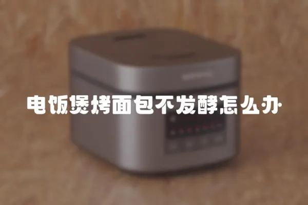 電飯煲烤面包不發酵怎么辦