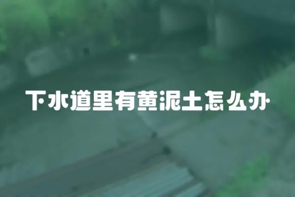 下水道里有黃泥土怎么辦