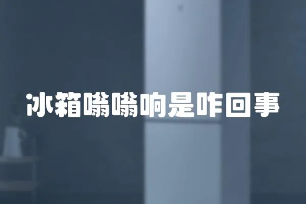 冰箱嗡嗡響是咋回事