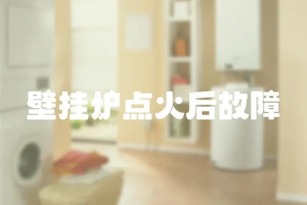 壁掛爐點火后故障