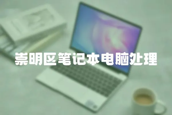 崇明區筆記本電腦處理