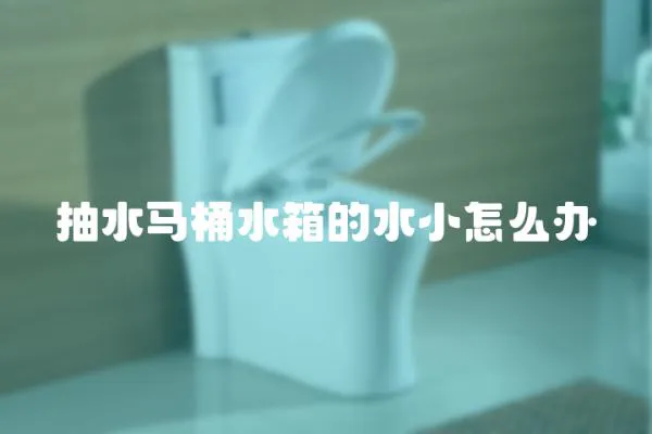 抽水馬桶水箱的水小怎么辦