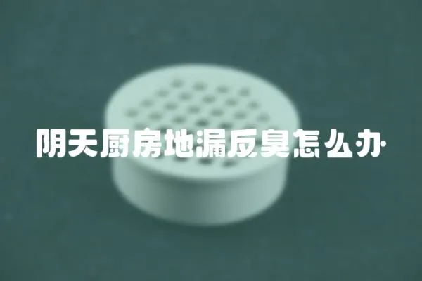 陰天廚房地漏反臭怎么辦