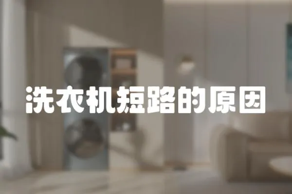 洗衣機短路的原因