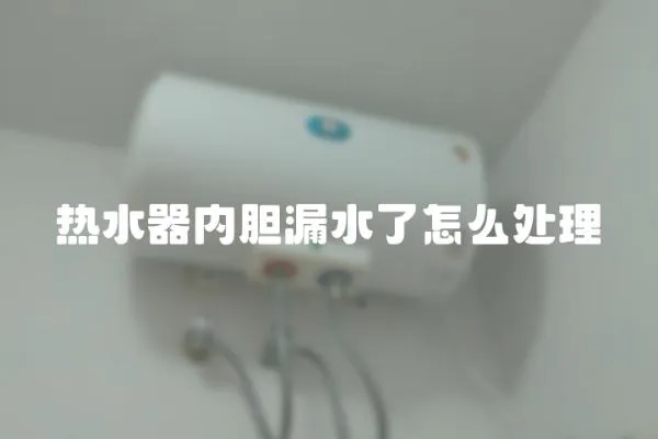 熱水器內膽漏水了怎么處理