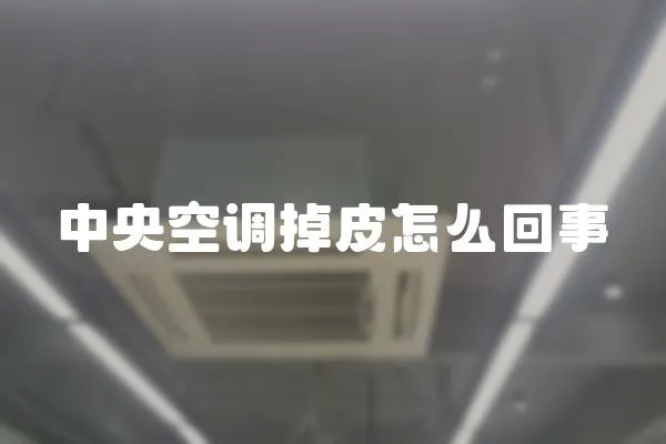 中央空調(diào)掉皮怎么回事