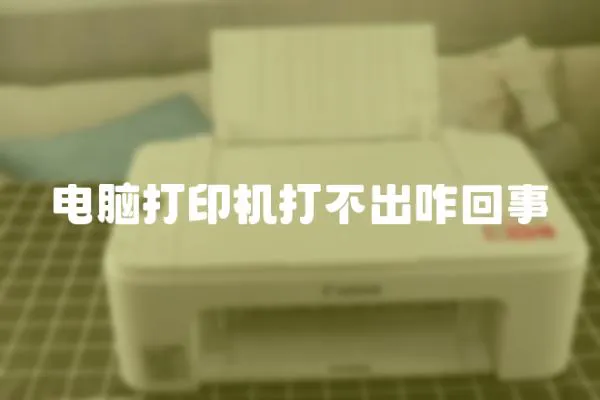 電腦打印機(jī)打不出咋回事