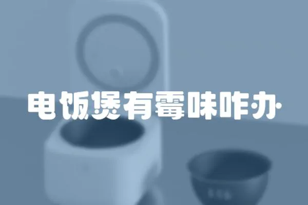 電飯煲有霉味咋辦