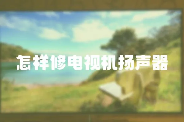 怎樣修電視機(jī)揚(yáng)聲器