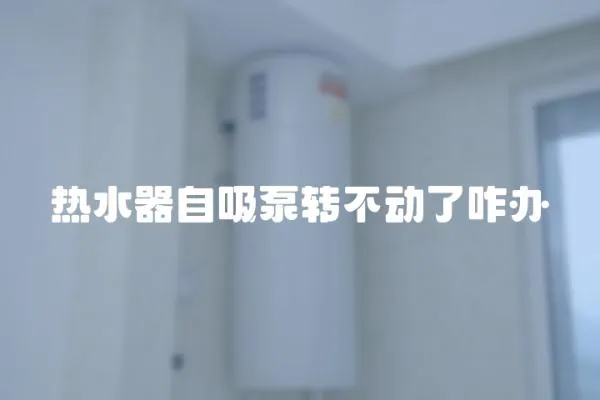 熱水器自吸泵轉(zhuǎn)不動(dòng)了咋辦