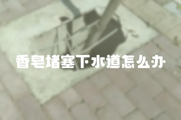 香皂堵塞下水道怎么辦