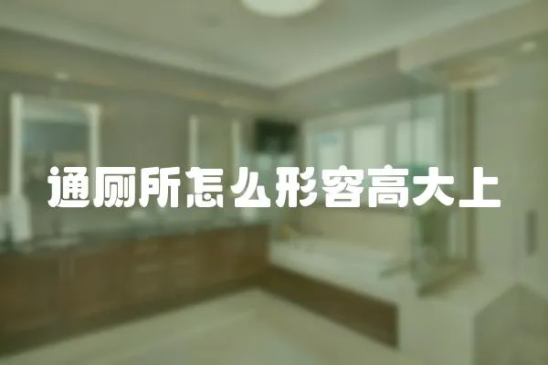 通廁所怎么形容高大上
